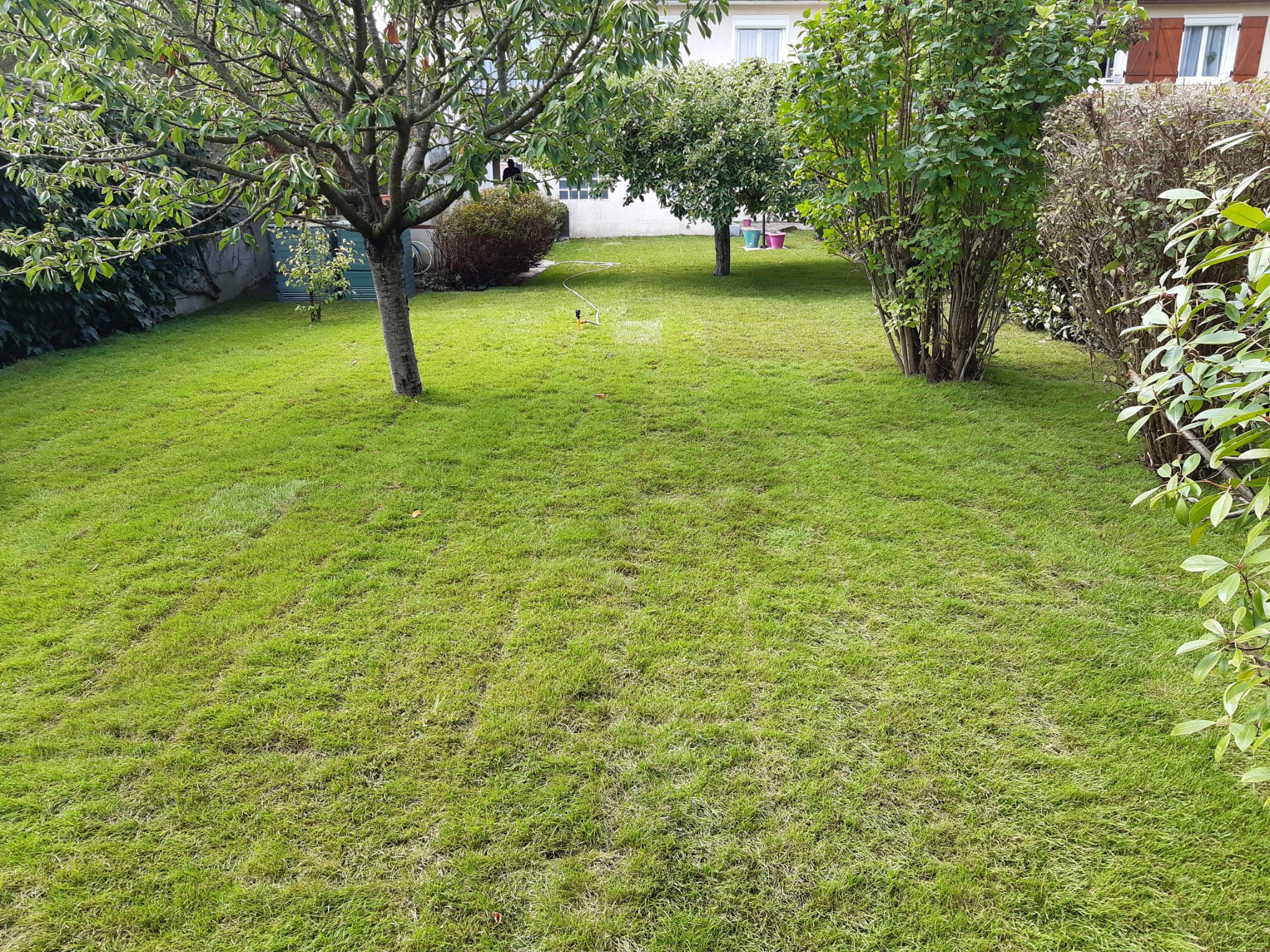 entretien-jardin-hoerter-28